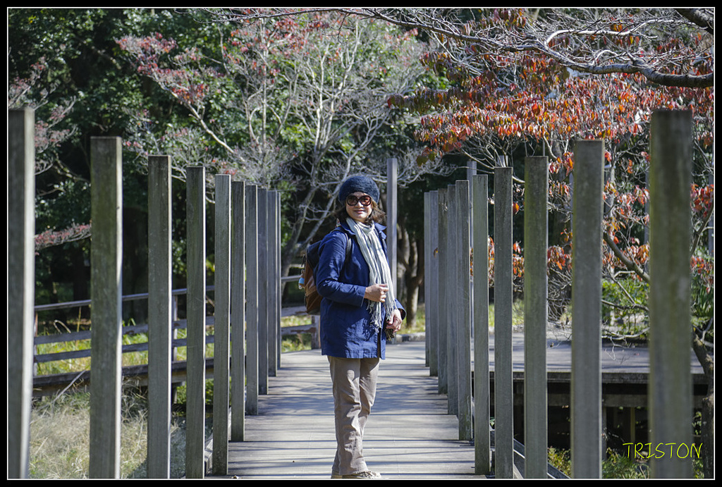 _H1A1701.jpg - 20171103 日本只見線、會津若松五色沼、昭和記念公園賞紅葉