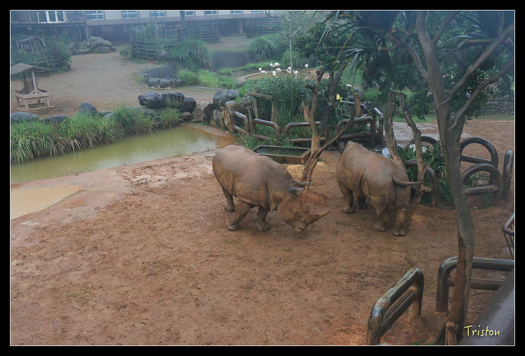 IMG_8113.jpg - 20150717 台北兒童新樂園 六福村