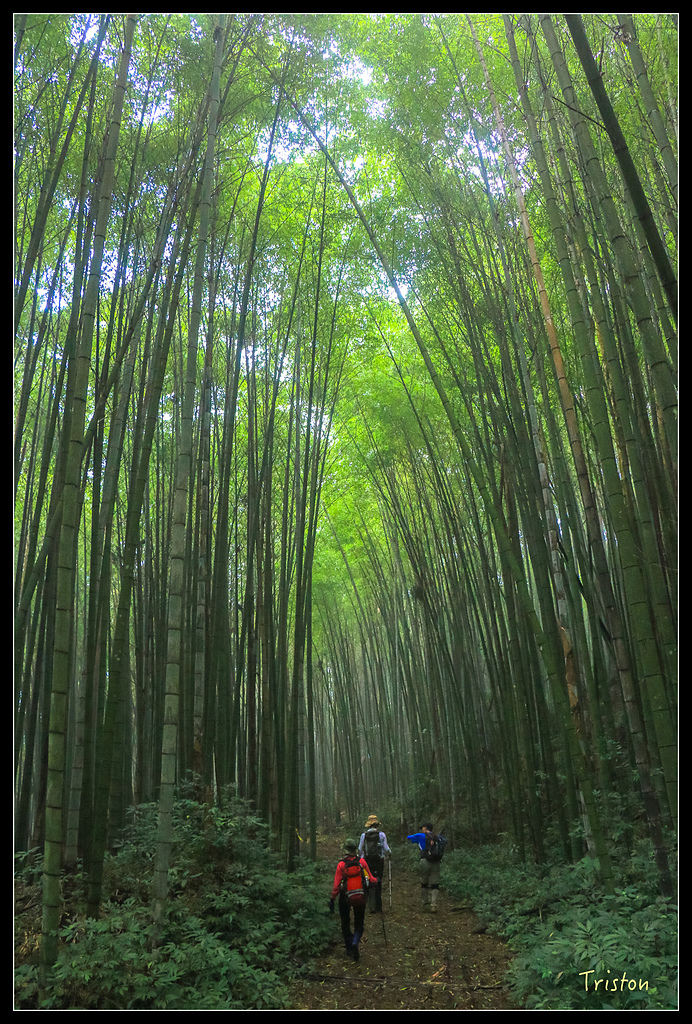 IMG_8357.jpg - 20150926 大凍山切霹靂山 抵龍雲山莊
