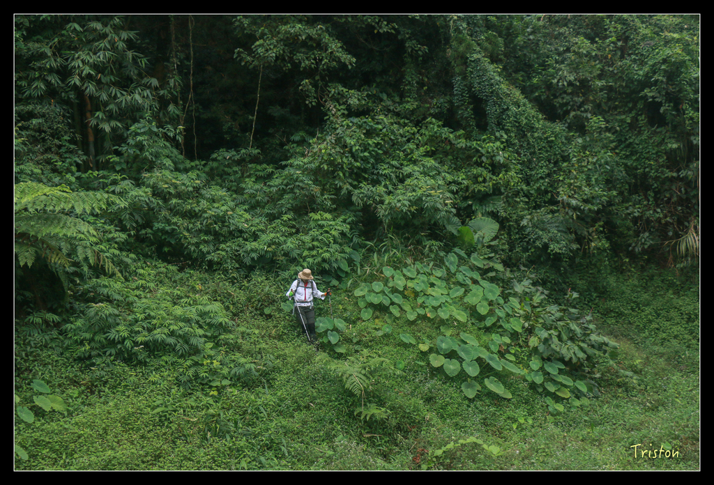IMG_8494.jpg - 20151012 水社寮,四天王山