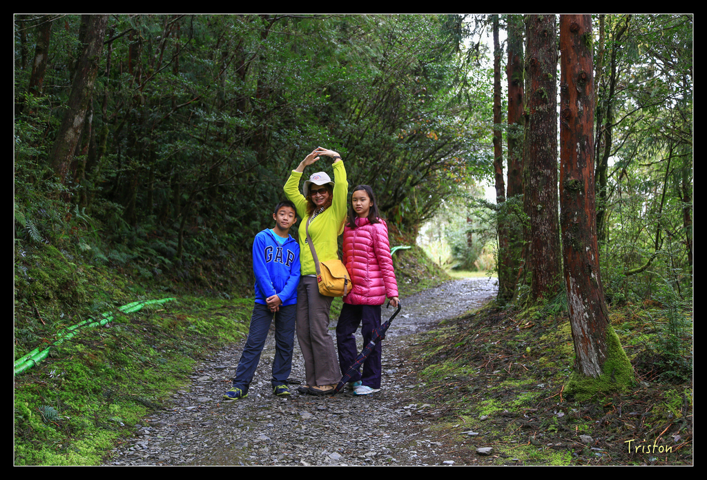 JH1A0117.jpg - 20151024~25 幾米公園、翠峰湖、翠峰山屋、望洋山步道、山毛櫸步道