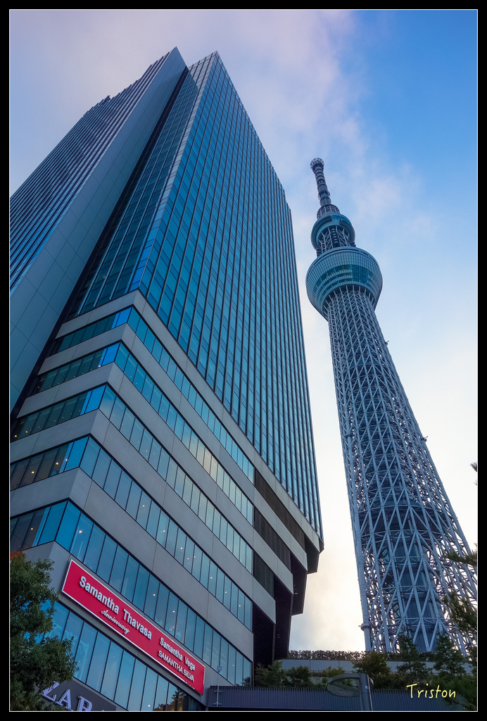 DSC00125.jpg - 20151031 秋天的童話-貴婦東京輕井澤紀行