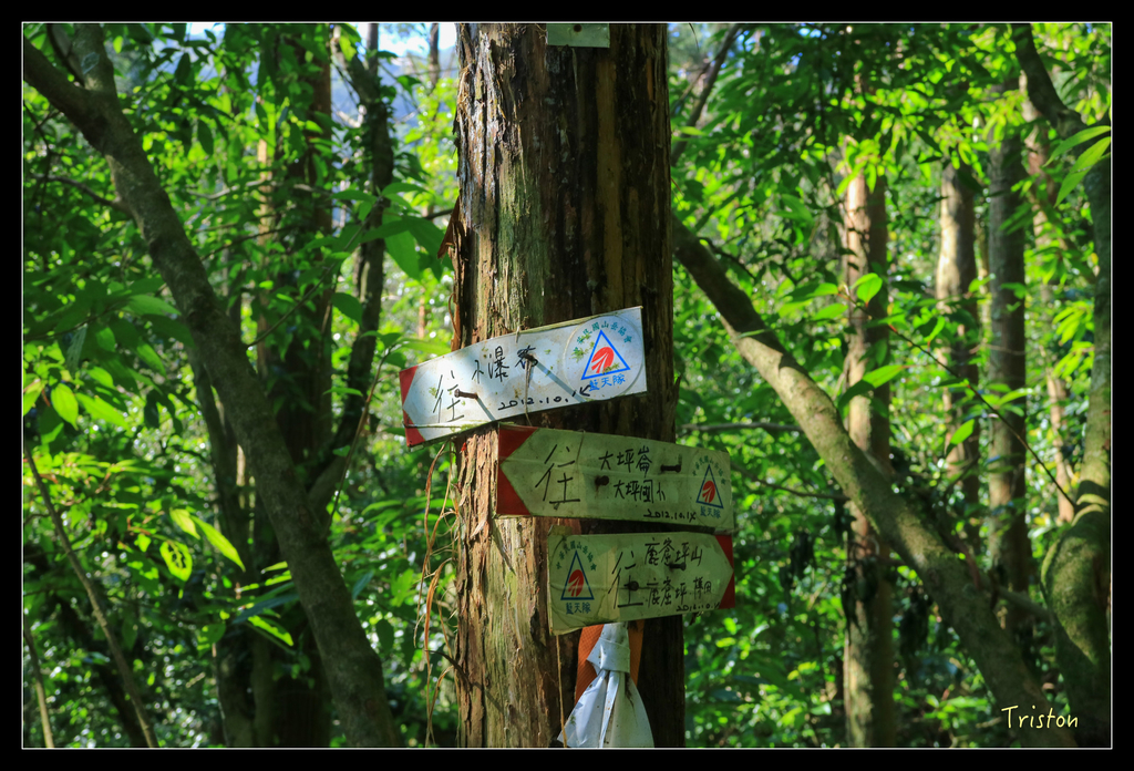 IMG_0497.jpg - 20151107 富士坪古道