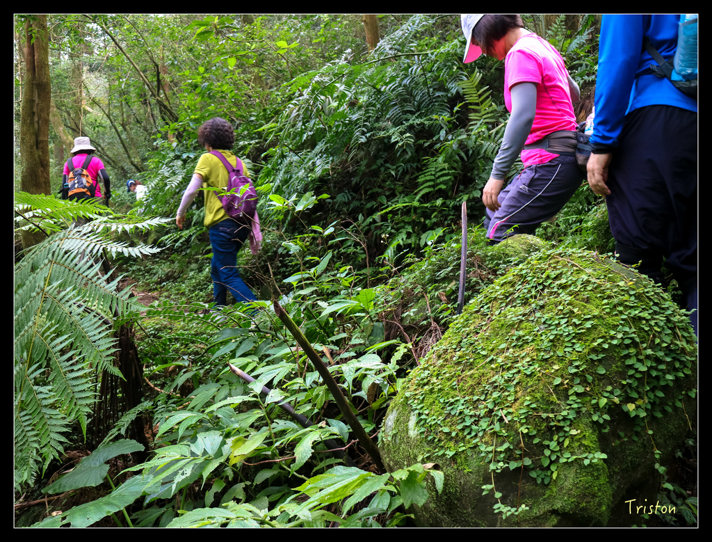 IMG_0559.jpg - 20151107 富士坪古道