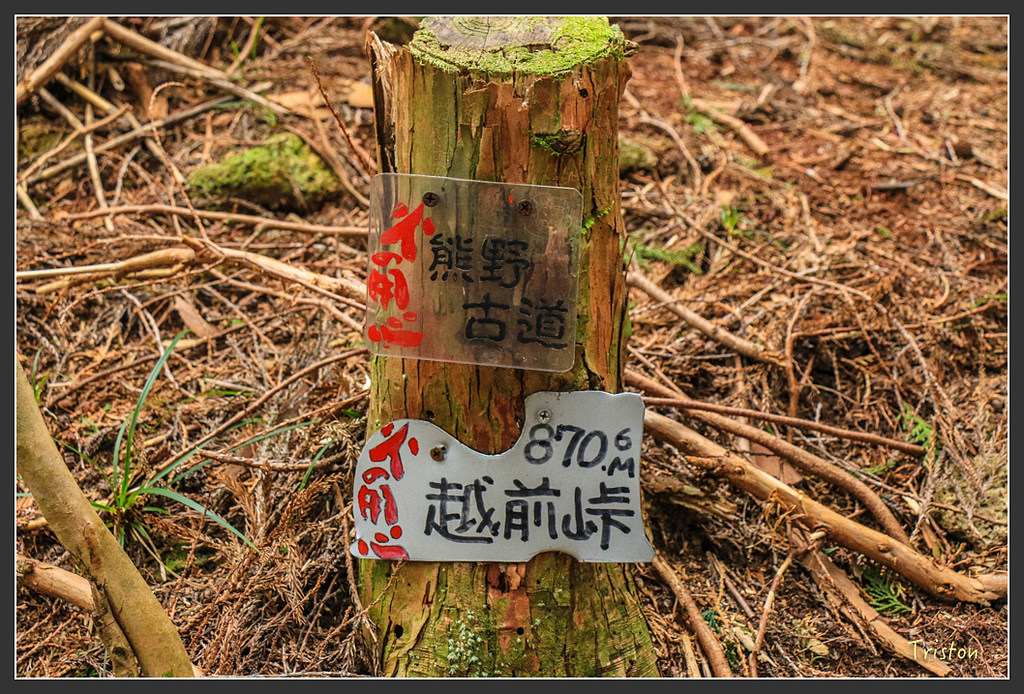 IMG_5458.jpg - 20160323 日本熊野古道健行