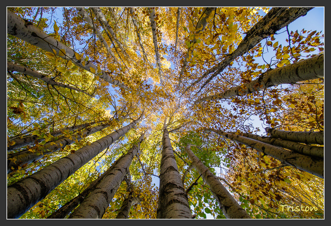 _MG_2391.jpg - 20161013 稻城亞丁