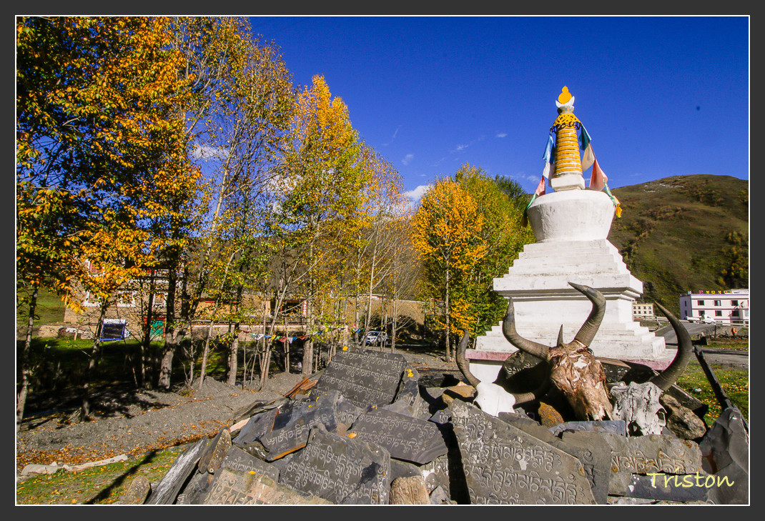 _MG_1326.jpg - 20161013 稻城亞丁