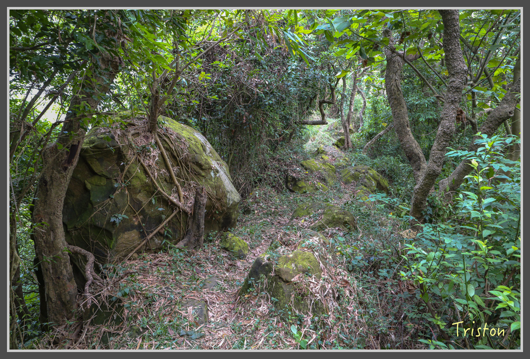 IMG_1929.jpg - 20161130 高雄旗尾山