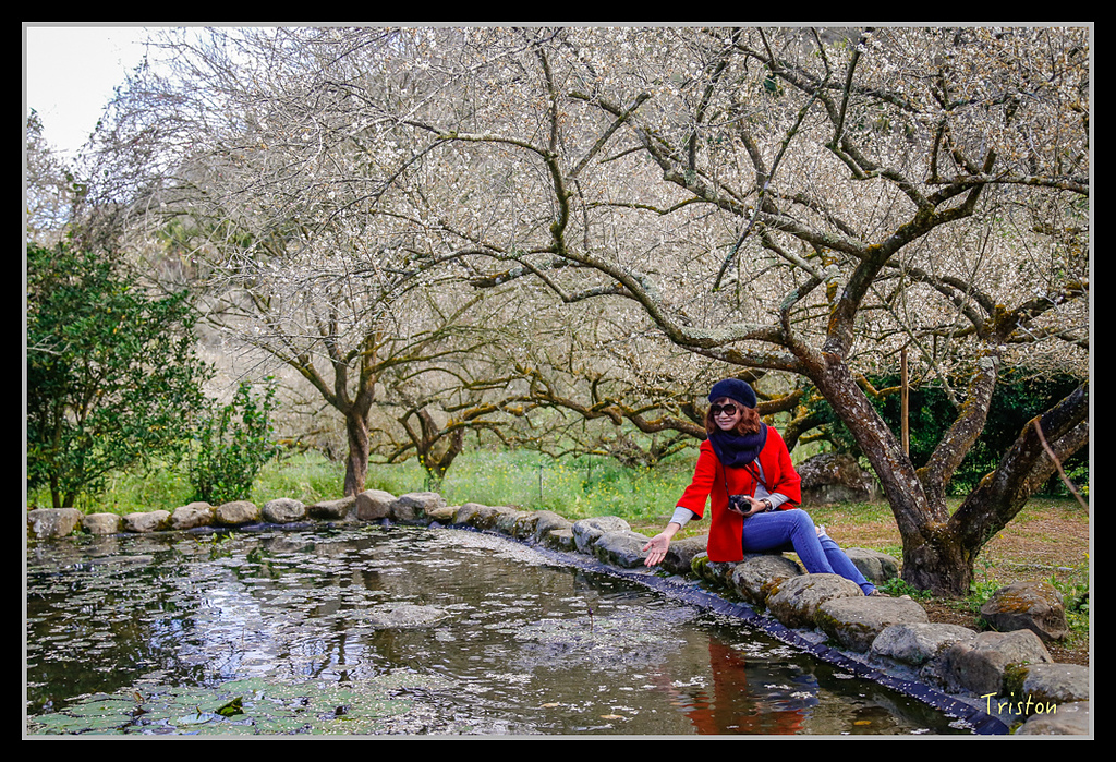 _H1A1368.jpg - 20170117 烏松崙、竹青庭