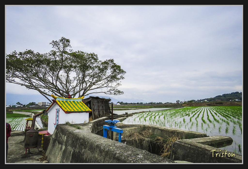 2017-02-27 10.04.56 下午 IMG_1339.jpg - 20170225 玉里瓦拉米