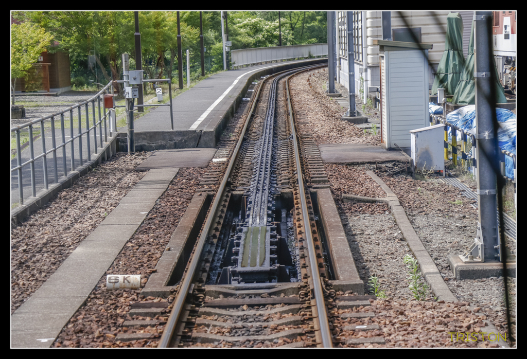 _MG_0468.jpg - 20170702 靜岡東海道之旅
