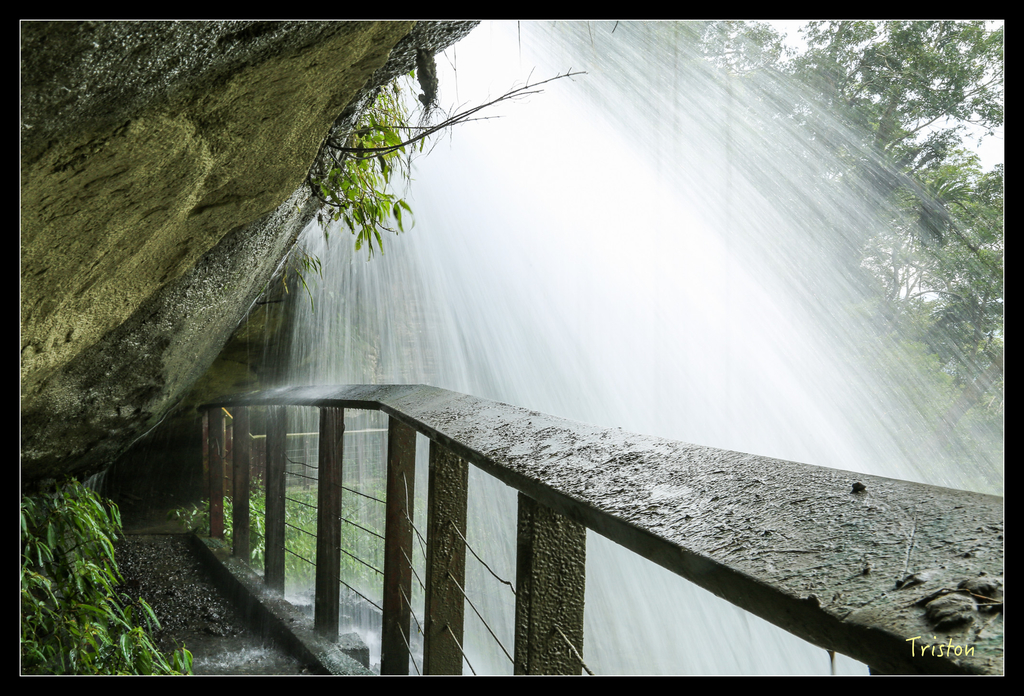 JH1A9899.jpg - 20151005 竹坑溪步道