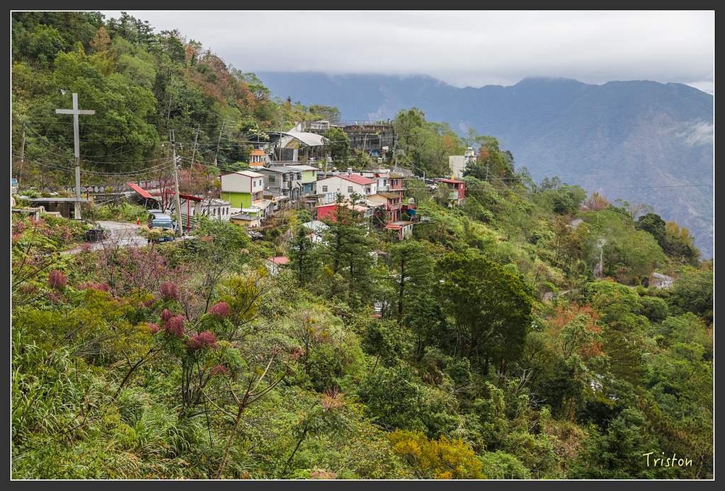 JH1A8198.jpg - 20160111 吉露、阿禮部落
