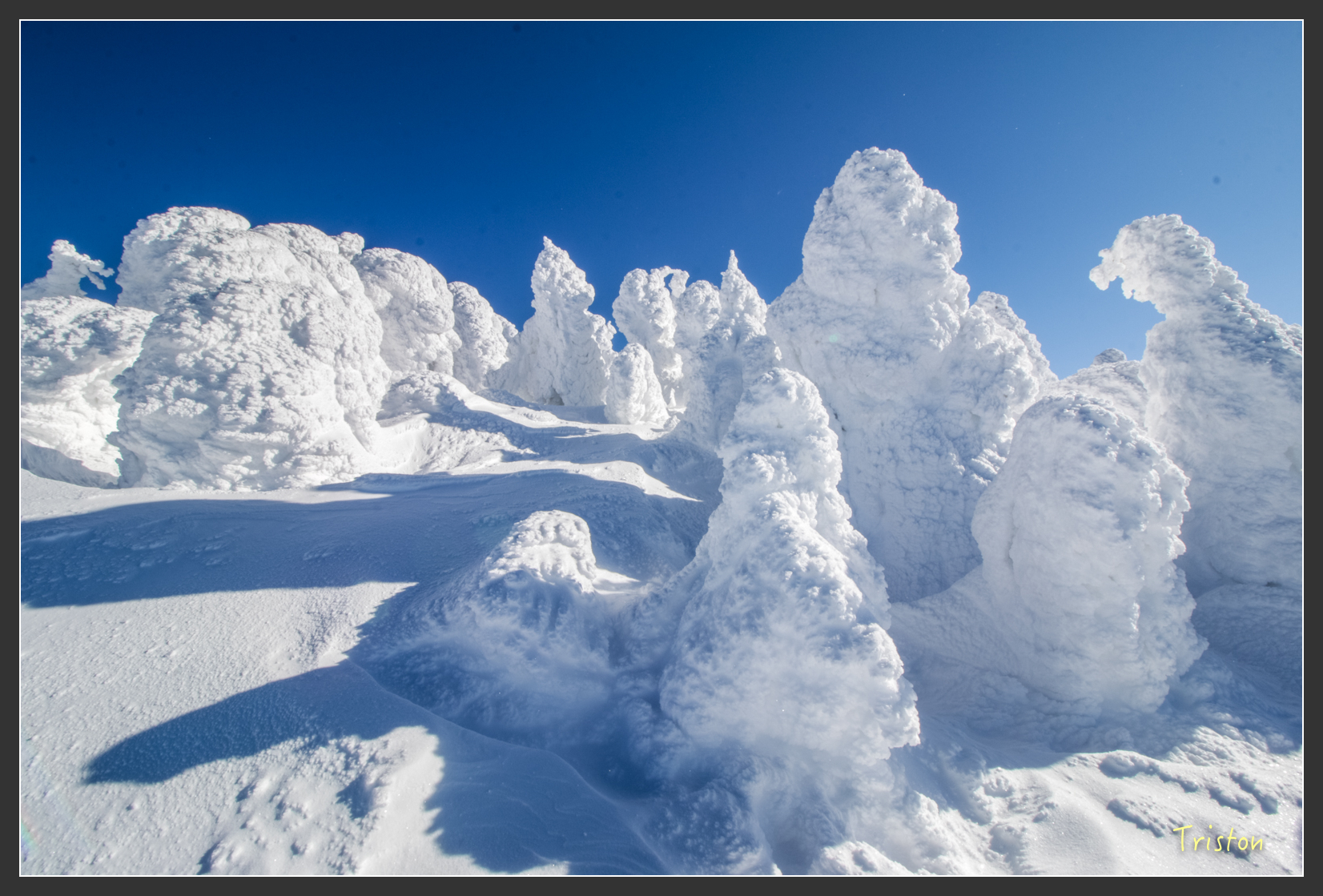 2016ZAO-01614.jpg - 20160131 日本藏王溫泉滑雪親子行