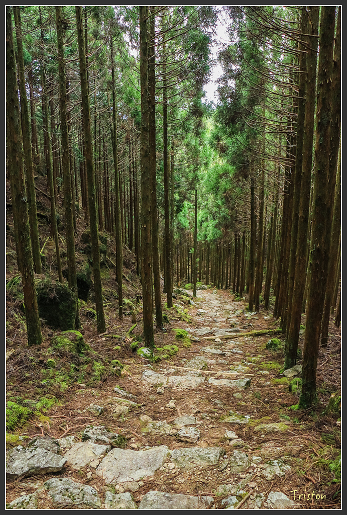 IMG_5464.jpg - 20160323 日本熊野古道健行