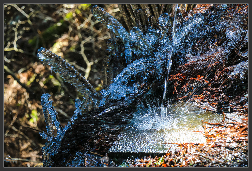 IMG_4700.jpg - 20160323 日本熊野古道健行