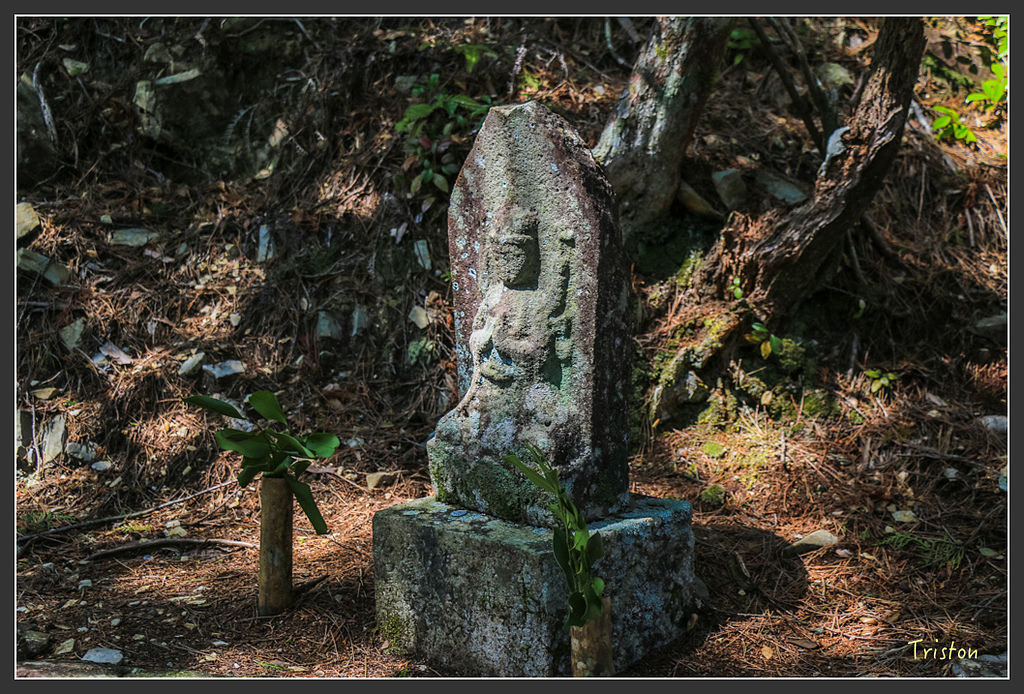 IMG_4791.jpg - 20160323 日本熊野古道健行