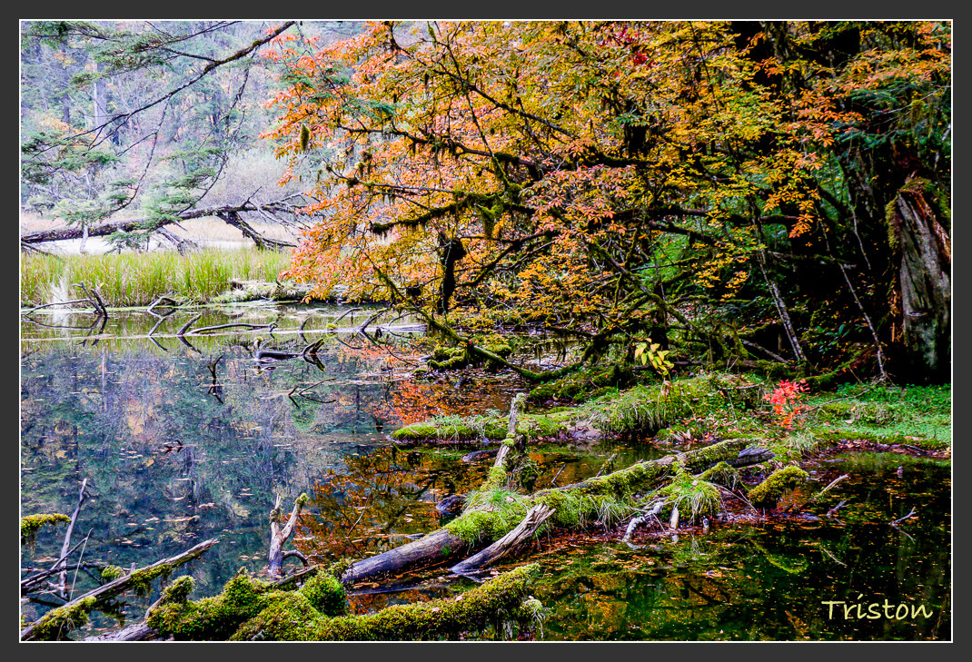 _MG_2748.jpg - 20161013 稻城亞丁