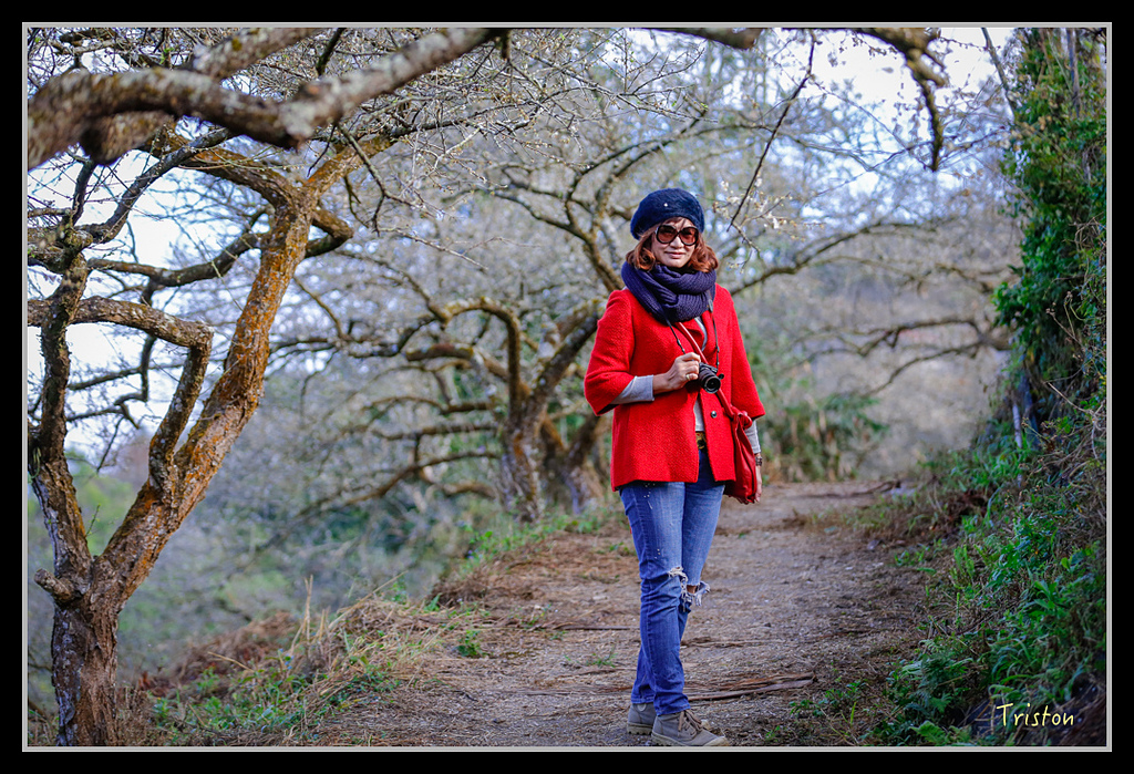 _H1A1396.jpg - 20170117 烏松崙、竹青庭