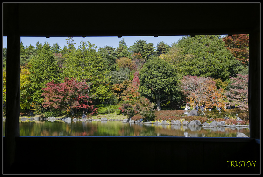 _H1A1753.jpg - 20171103 日本只見線、會津若松五色沼、昭和記念公園賞紅葉