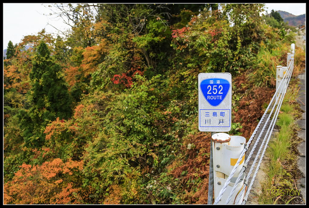 _H1A0640.jpg - 20171103 日本只見線、會津若松五色沼、昭和記念公園賞紅葉