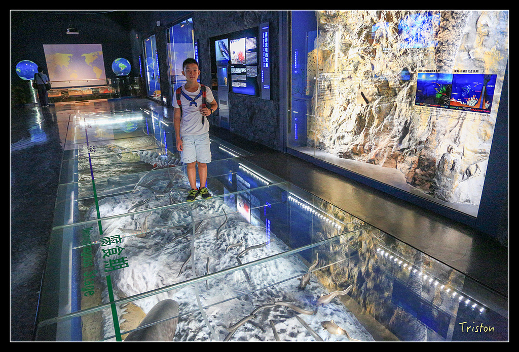 JH1A8241.jpg - 20150814 馬祖之旅