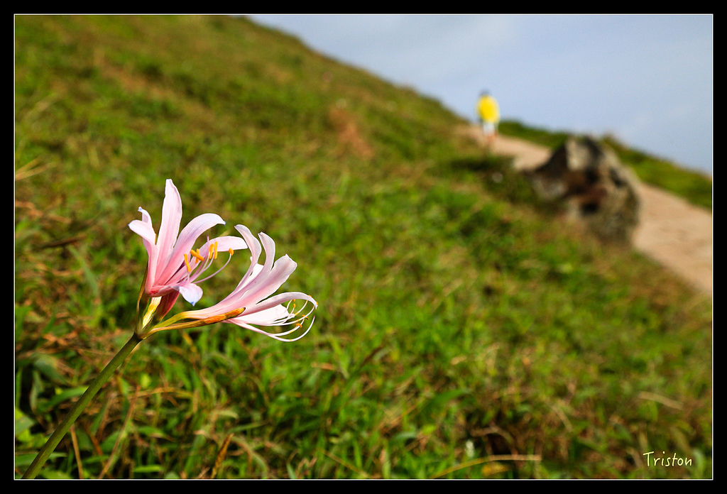 JH1A8306.jpg - 20150814 馬祖之旅