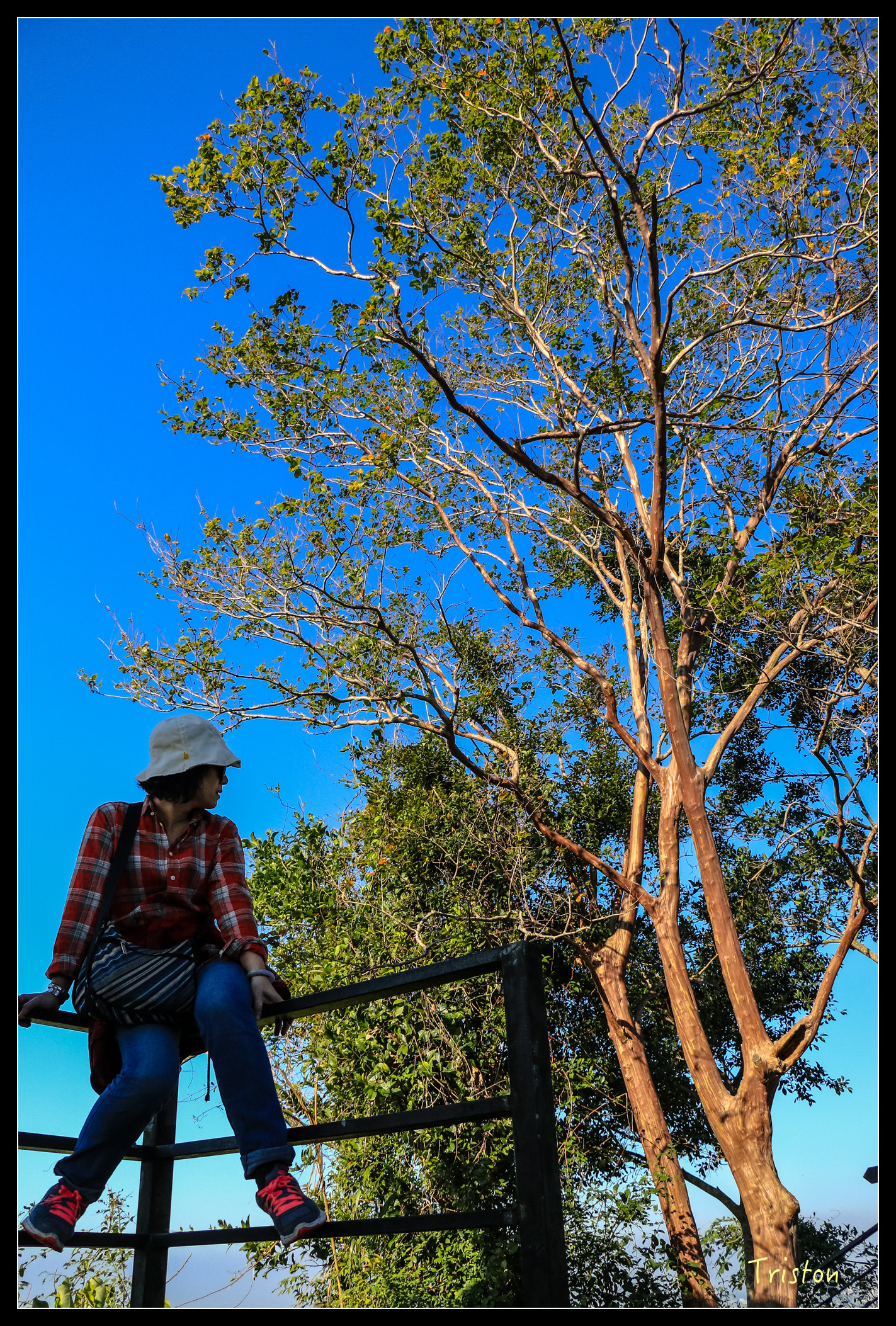 IMG_0331.jpg - 20151214 林內龍過脈步道