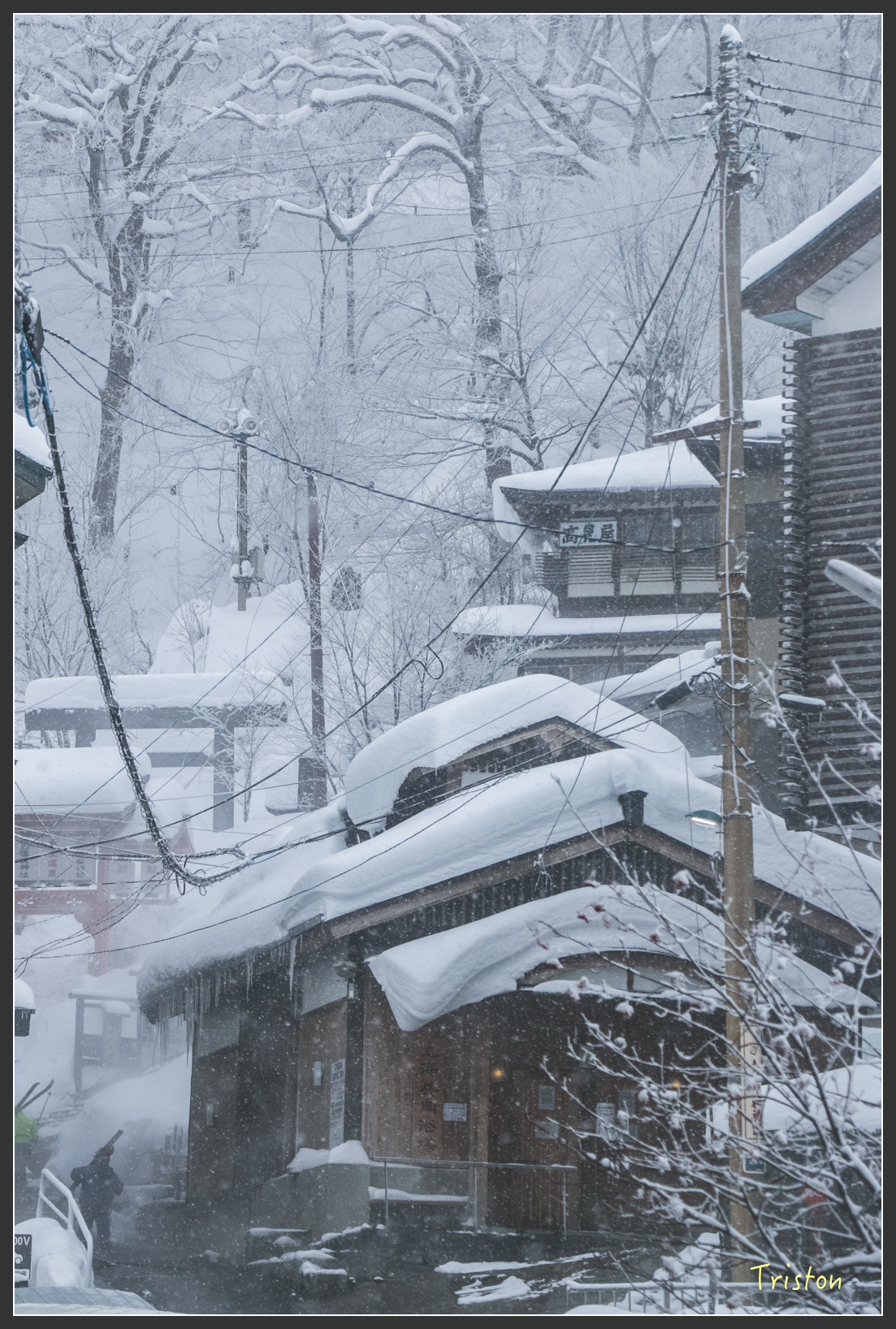 2016ZAO-01248.jpg - 20160131 日本藏王溫泉滑雪親子行