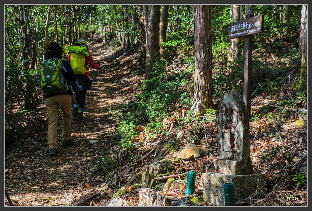 IMG_4694.jpg - 20160323 日本熊野古道健行