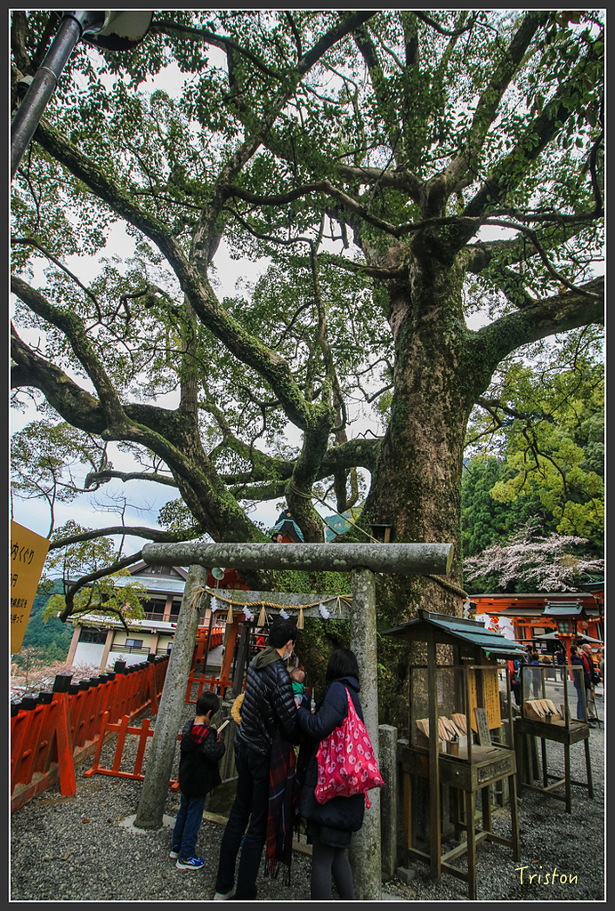 IMG_5639.jpg - 20160323 日本熊野古道健行