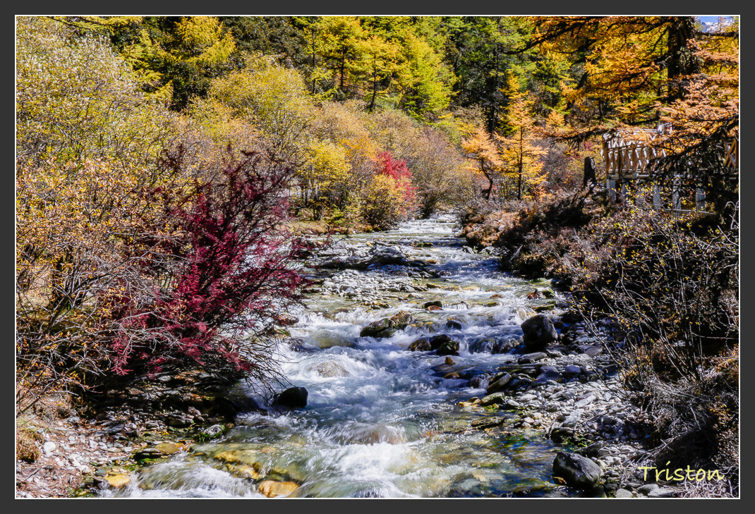 _MG_2260.jpg - 20161013 稻城亞丁