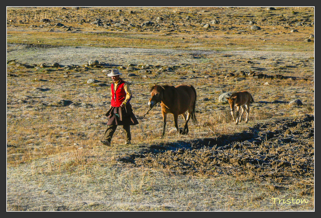 _MG_2468.jpg - 20161013 稻城亞丁