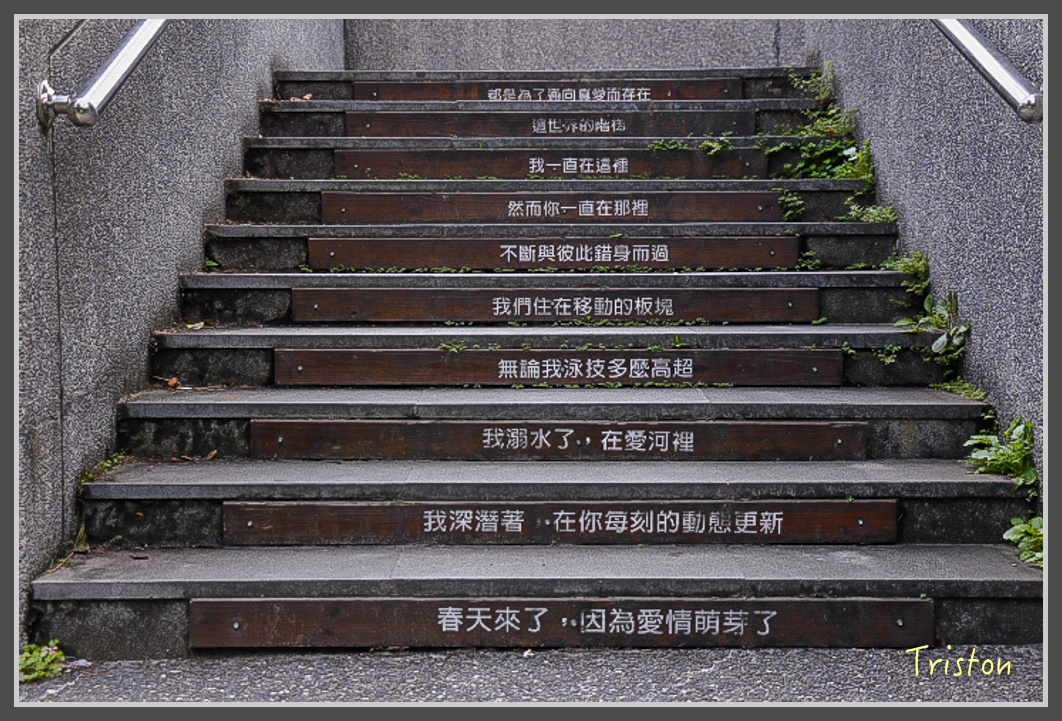 _MG_0004.jpg - 20161203 鎮西堡