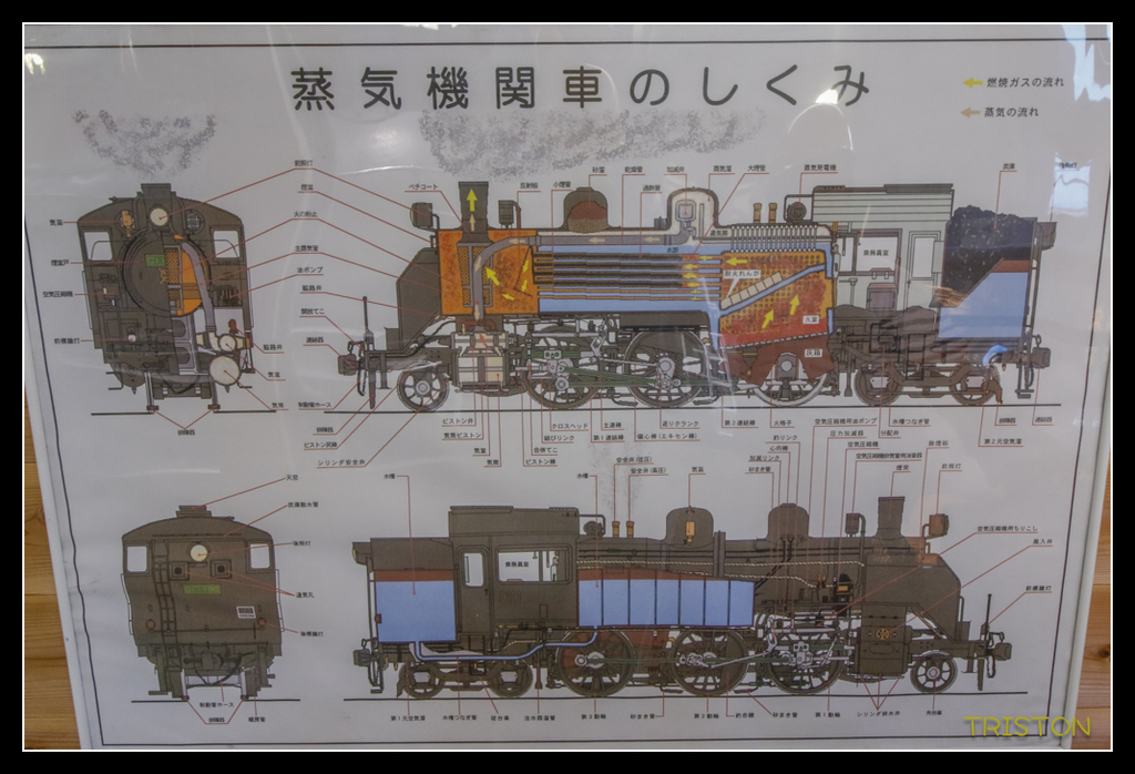 _MG_0206.jpg - 20170702 靜岡東海道之旅