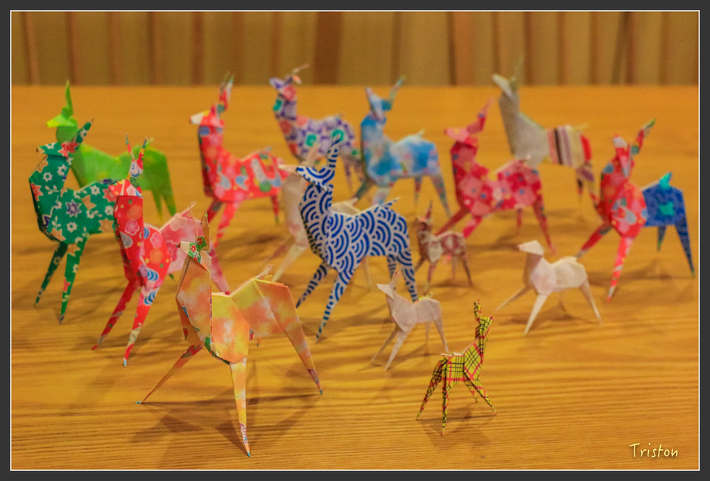 IMG_4281.jpg - 20160323 日本熊野古道健行