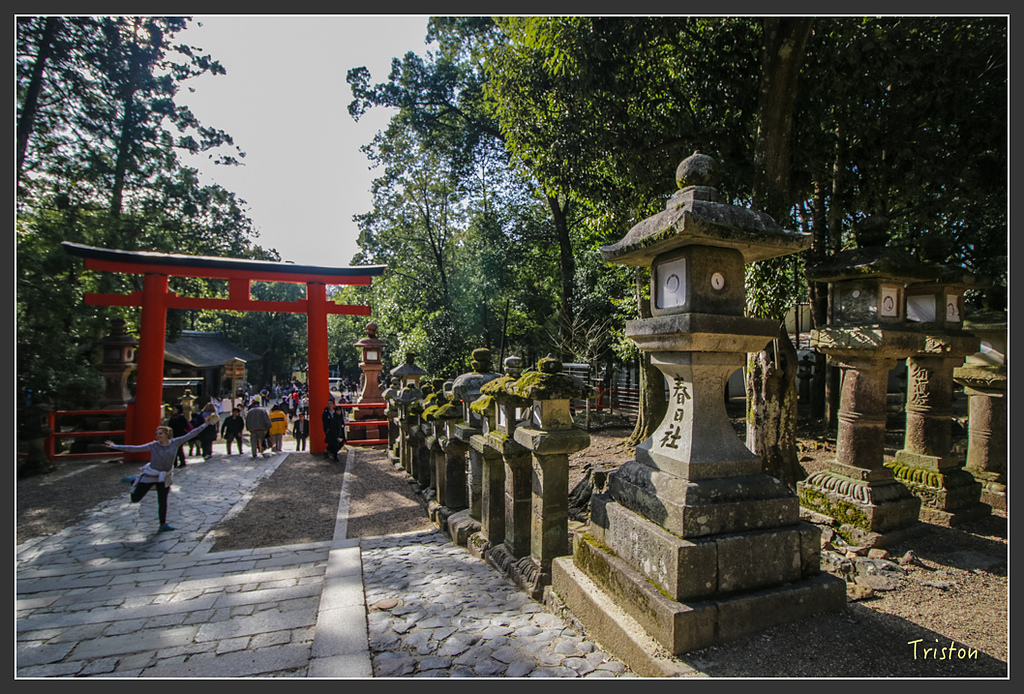 IMG_4037.jpg - 20160323 日本熊野古道健行