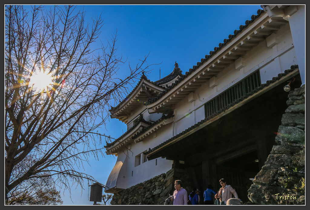 IMG_5984.jpg - 20160323 日本熊野古道健行