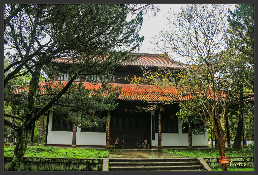 IMG_6469.jpg - 20160409 武夷山之旅