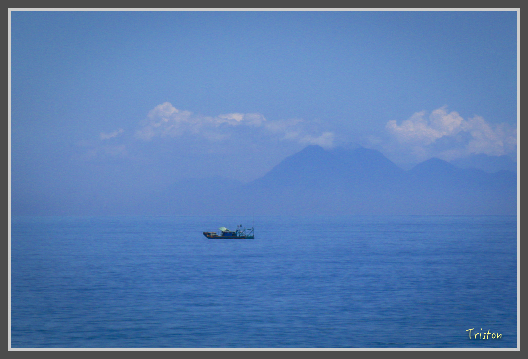 _MG_8354.jpg - 20160618 阿朗壹古道