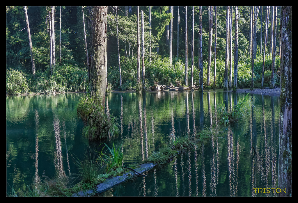 _MG_0284.jpg - 20170723 水漾森林