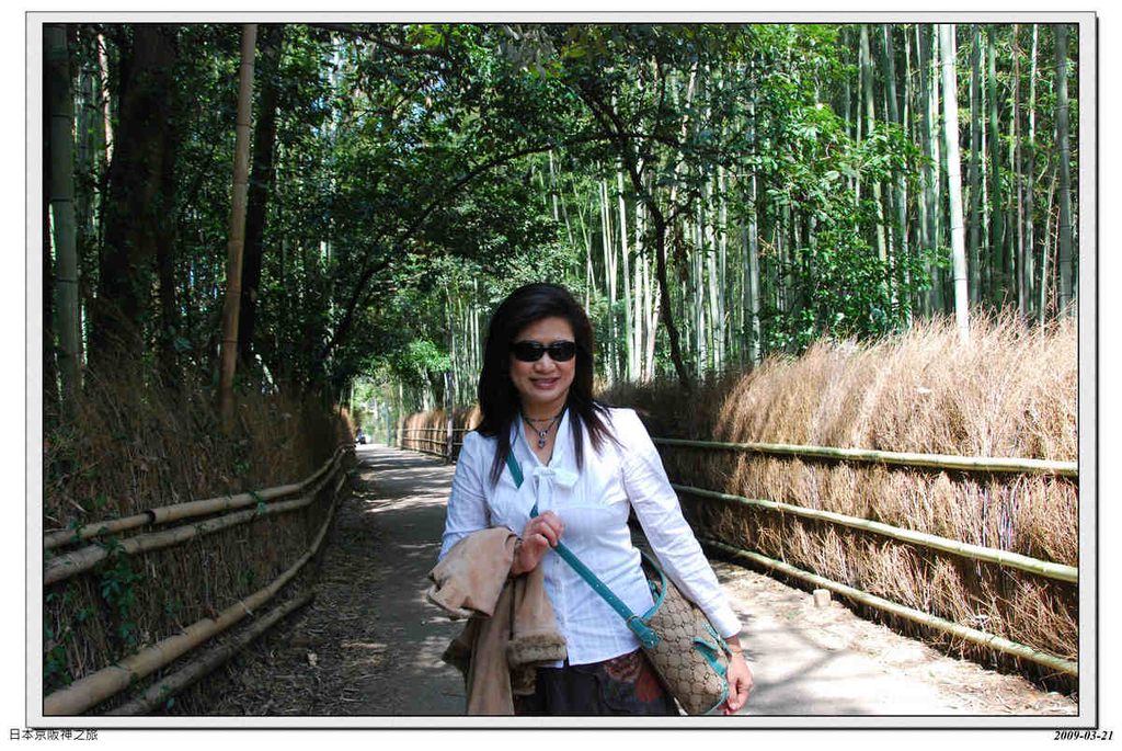 2009-03-21-11_07_06.jpg - 20090320 日本京阪神之旅
