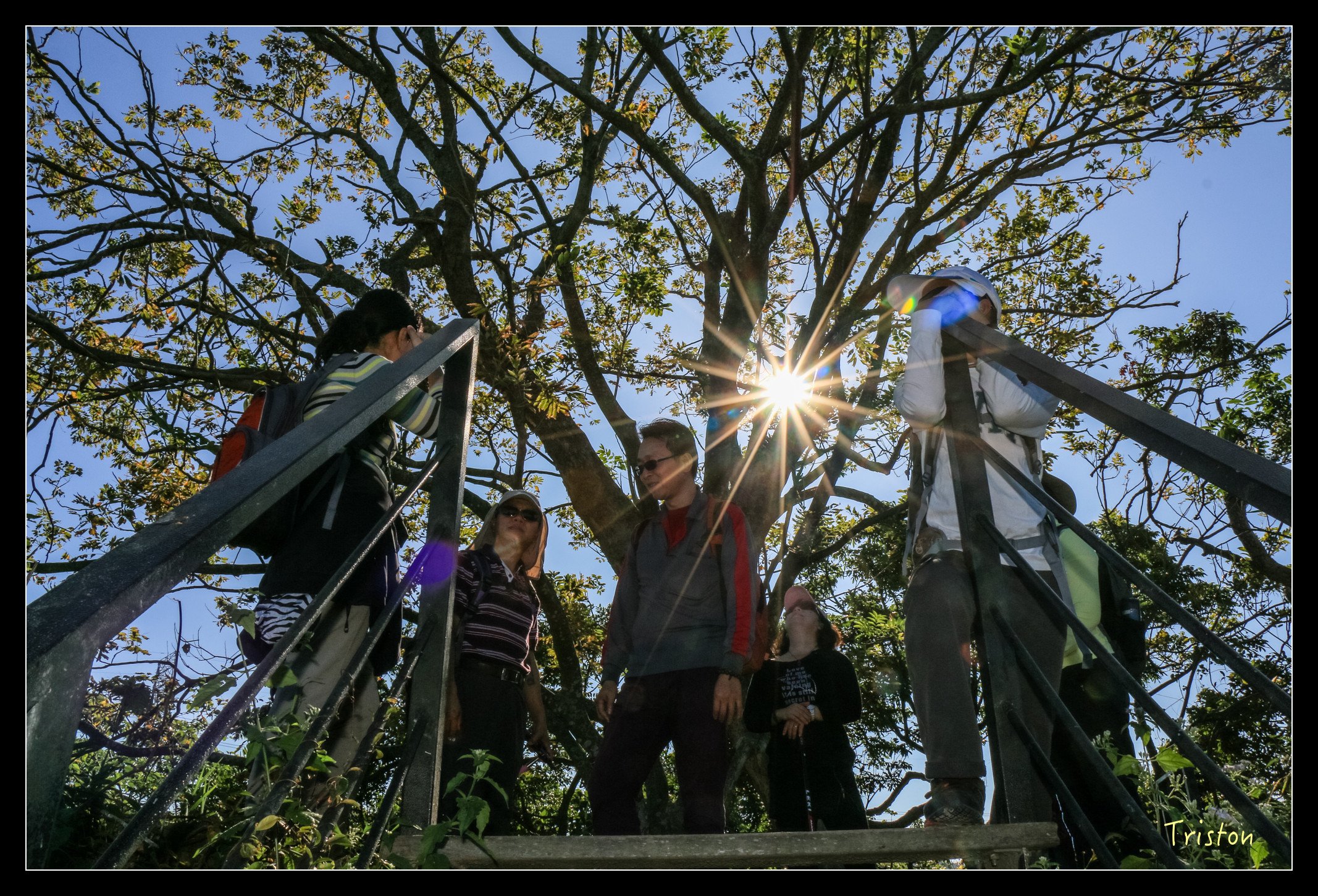 IMG_0324.jpg - 20151214 林內龍過脈步道