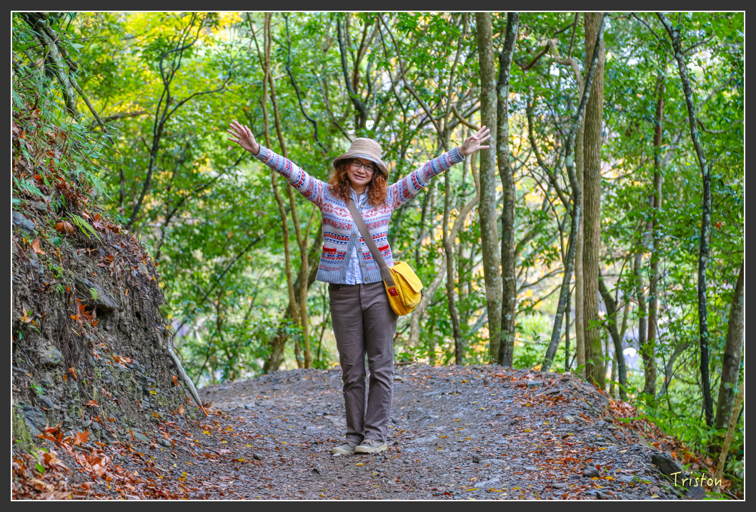 JH1A1229.jpg - 20151221 新竹秀巒賞楓