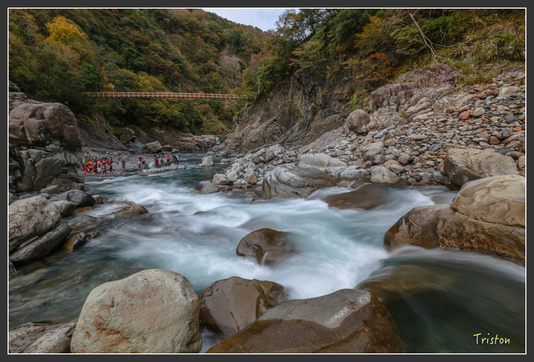 JH1A1255.jpg - 20151221 新竹秀巒賞楓