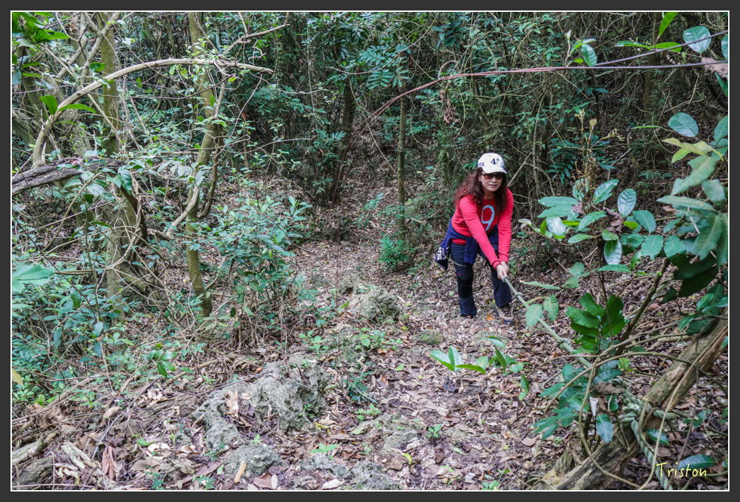 IMG_3195.jpg - 20160220 小崗山健行步道