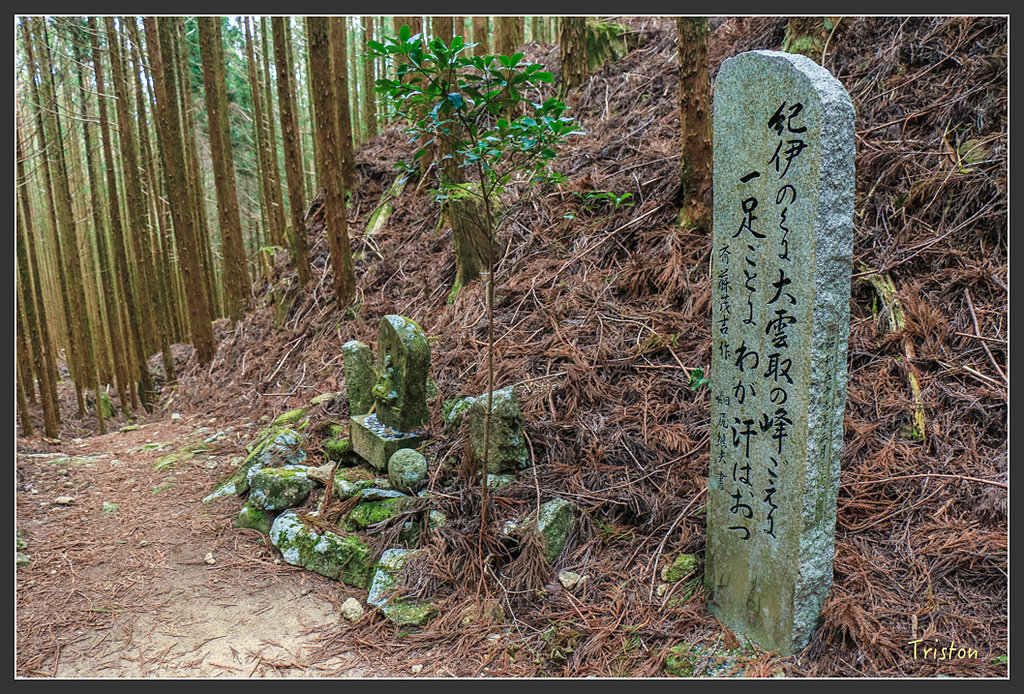 IMG_5488.jpg - 20160323 日本熊野古道健行