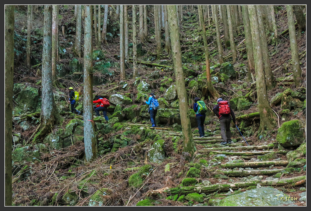 IMG_5394.jpg - 20160323 日本熊野古道健行