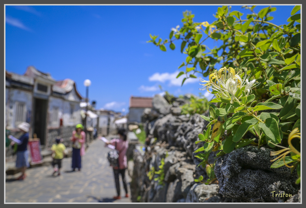 JH1A1642.jpg - 20160701 澎湖