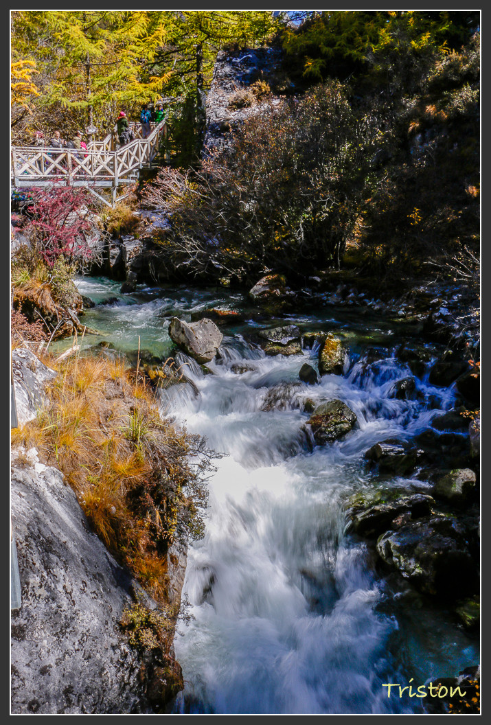 _MG_2353.jpg - 20161013 稻城亞丁